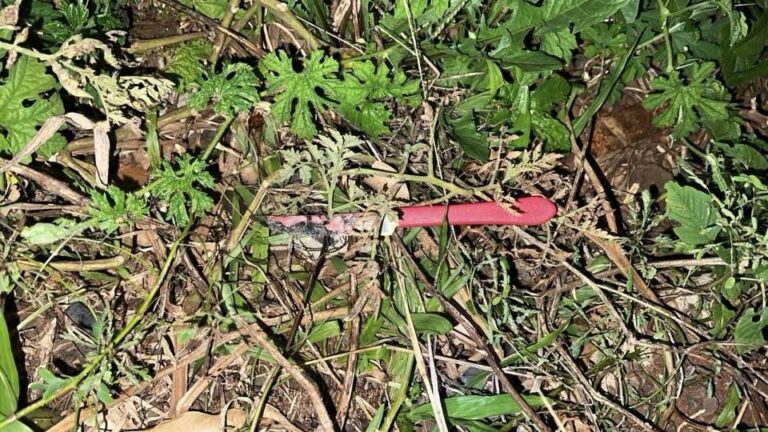 visita-para-anunciar-morte-termina-em-tentativa-de-assassinato-dentro-de-casa