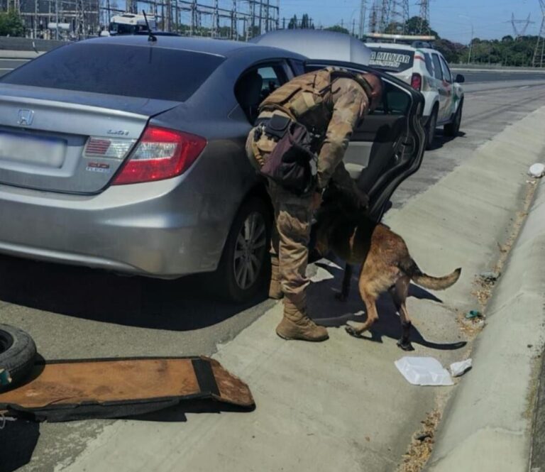 Carro com carga de anabolizantes é interceptado na BR-101 durante operação policial carro-com-carga-de-anabolizantes-e-interceptado-na-br-101-durante-operacao-policial