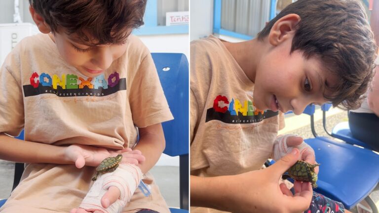 internado-ha-26-dias,-menino-de-8-anos-pede-para-ver-sua-tartaruga-e-hospital-realiza-o-desejo-em-bc