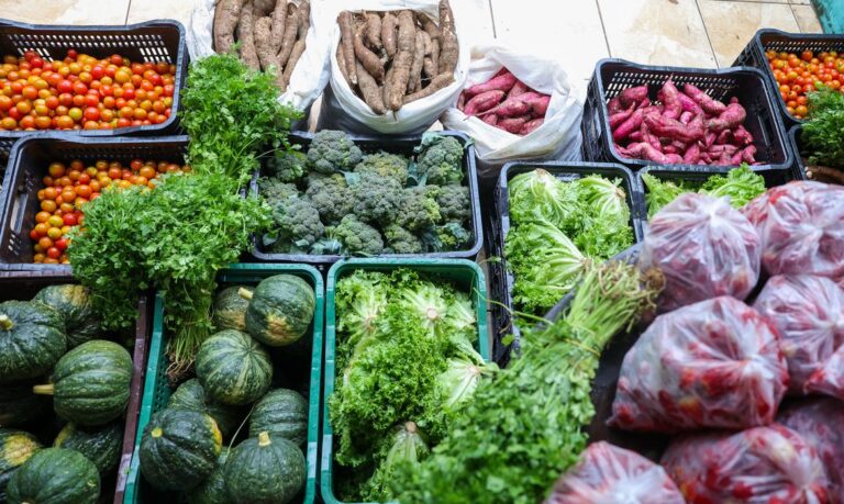 seguranca-alimentar-exige-esforco-coletivo-e-articulacao
