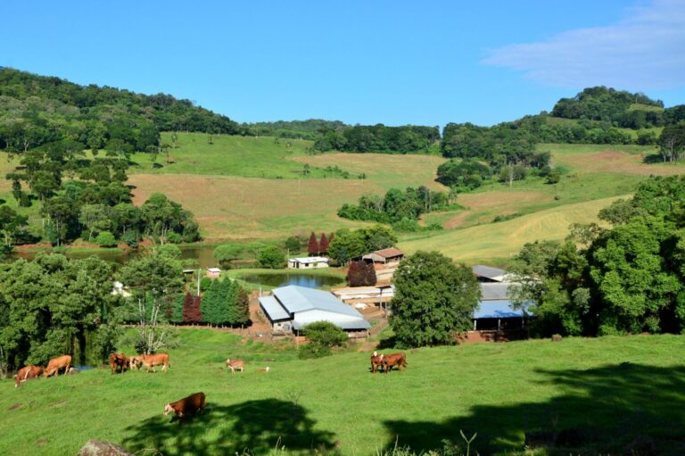 santa-catarina-integra-acoes-de-prevencao-e-resposta-a-eventos-climaticos-no-meio-rural-e-pesqueiro