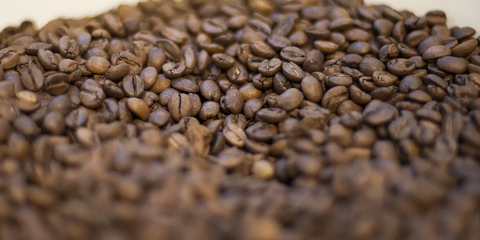 Trump diz que reduzirá tarifas para importação de café trump-diz-que-reduzira-tarifas-para-importacao-de-cafe