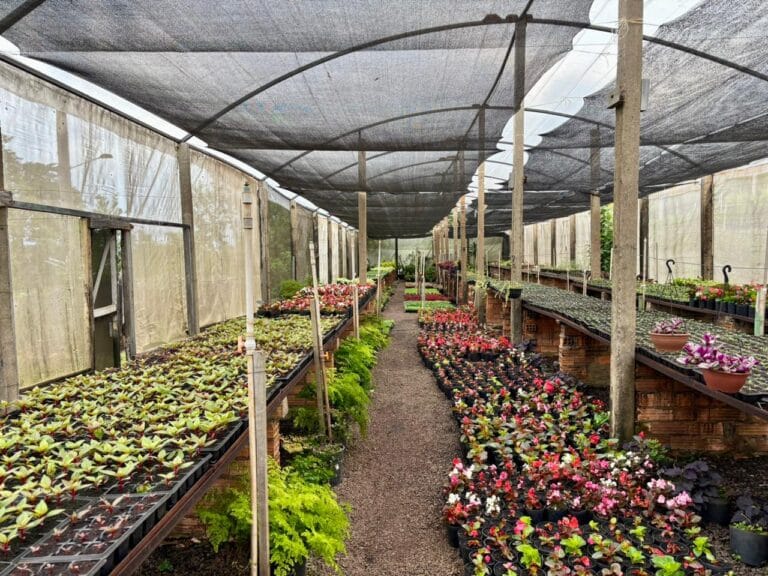 Projeto Oportuniza Chapecó fará entrega baldes para coleta de lixo orgânico