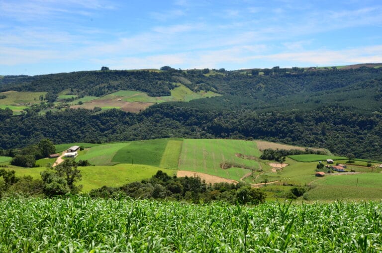 Coopera Agro SC é aprovado na Alesc e marca fortalecimento das cooperativas, agroindústrias e mais competitividade no setor coopera-agro-sc-e-aprovado-na-alesc-e-marca-fortalecimento-das-cooperativas,-agroindustrias-e-mais-competitividade-no-setor