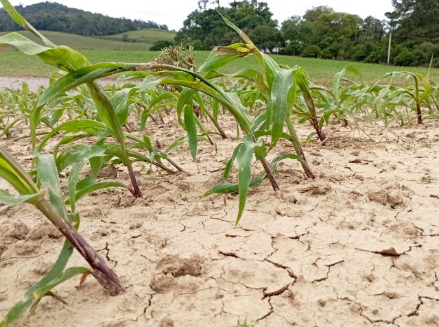 Pesquisa da Epagri aposta em bioinsumos e agricultura digital para os desafios no campo
