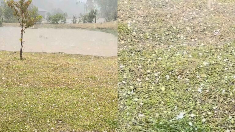 Temporal com granizo deixa rastro de destruição em propriedades rurais em SC temporal-com-granizo-deixa-rastro-de-destruicao-em-propriedades-rurais-em-sc