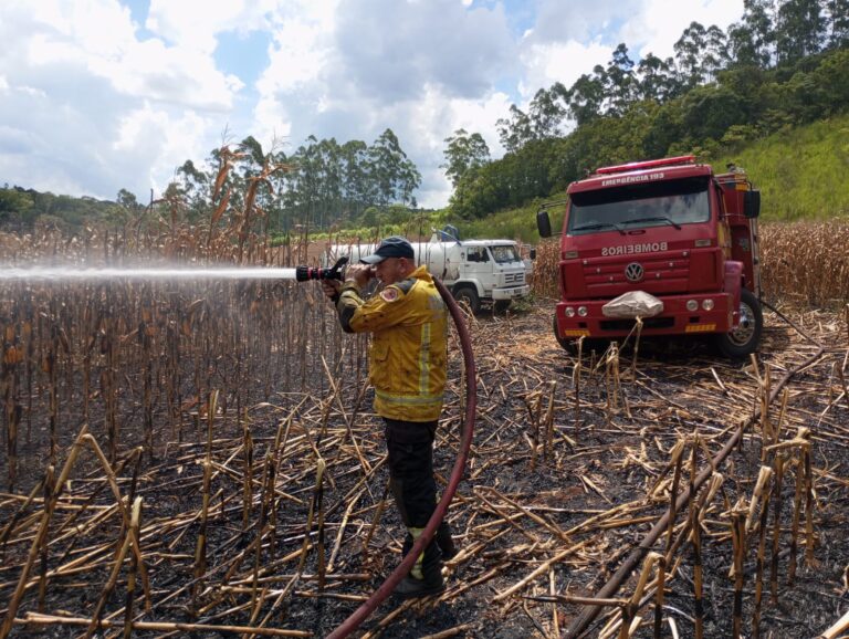 Incêndio atinge lavoura de milho no interior de Serra Alta incendio-atinge-lavoura-de-milho-no-interior-de-serra-alta