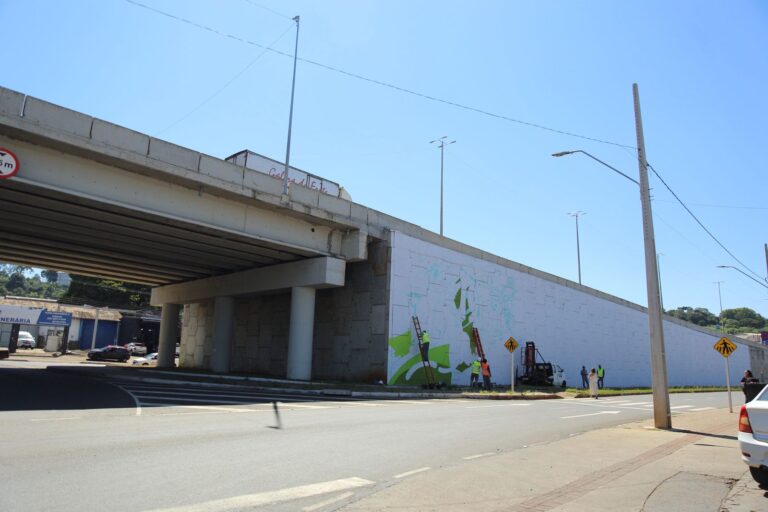 elevado-de-chapeco-tera-mural-artistico-com-cerca-de-500m-quadrados