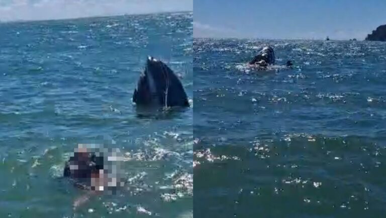 dois-homens-sao-encontrados-a-deriva-apos-jet-ski-virar-no-mar-em-sc
