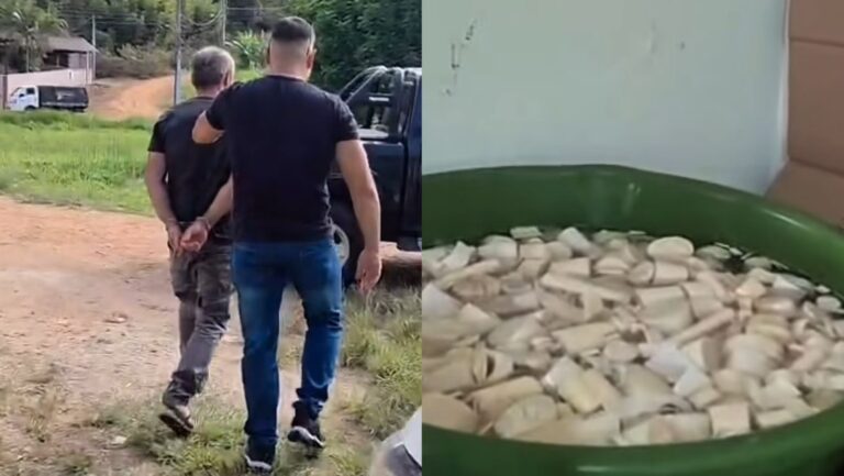Polícia acha baratas, água suja e palmito sem rótulo em fábrica clandestina em SC policia-acha-baratas,-agua-suja-e-palmito-sem-rotulo-em-fabrica-clandestina-em-sc