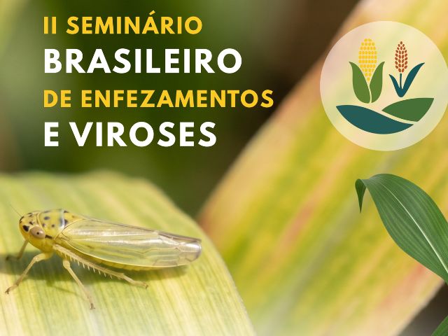 Congresso Nacional de Milho e Sorgo promove Seminário para debater principal desafio sanitário do milho no Brasil – BLOG-Epagri congresso-nacional-de-milho-e-sorgo-promove-seminario-para-debater-principal-desafio-sanitario-do-milho-no-brasil-–-blog-epagri