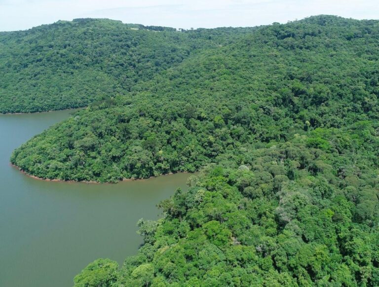 No Junho Verde, Governo do Estado destaca projetos e ações que impulsionam o desenvolvimento sustentável de Santa Catarina no-junho-verde,-governo-do-estado-destaca-projetos-e-acoes-que-impulsionam-o-desenvolvimento-sustentavel-de-santa-catarina