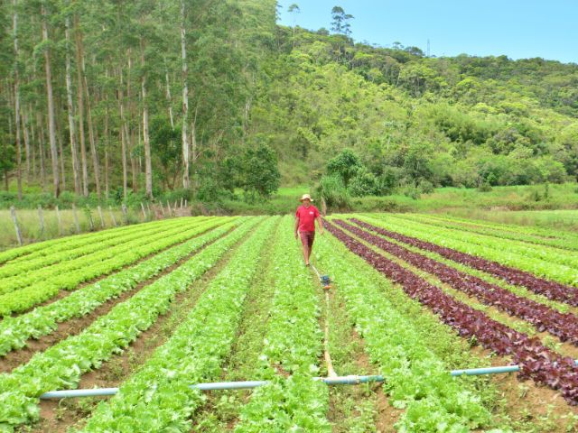 Dia do Meio Ambiente: SC Rural 2 vai beneficiar 57 mil agricultores e pescadores com ações para sustentabilidade e resiliência climática – BLOG-Epagri dia-do-meio-ambiente:-sc-rural-2-vai-beneficiar-57-mil-agricultores-e-pescadores-com-acoes-para-sustentabilidade-e-resiliencia-climatica-–-blog-epagri