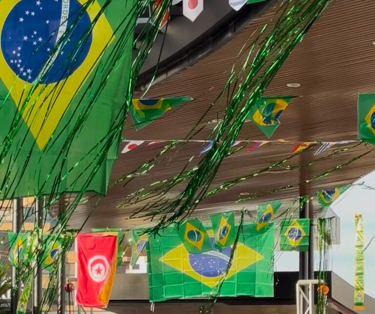 Prefeitura de Chapecó decora Boulevard com tema da Copa do Mundo 2026 prefeitura-de-chapeco-decora-boulevard-com-tema-da-copa-do-mundo-2026