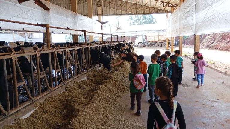 criancas-conhecem-o-caminho-do-leite-em-fazenda-de-xanxere