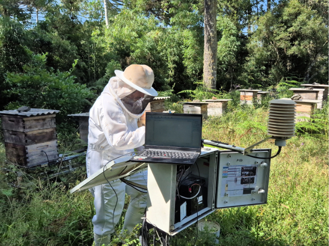 Epagri monitora colmeias e auxilia apicultores com informações precisas em tempo real – BLOG-Epagri epagri-monitora-colmeias-e-auxilia-apicultores-com-informacoes-precisas-em-tempo-real-–-blog-epagri