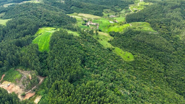 Mais Verde: Governo de Santa Catarina abre inscrições para programa que incentiva a conservação da vegetação nativa no meio rural mais-verde:-governo-de-santa-catarina-abre-inscricoes-para-programa-que-incentiva-a-conservacao-da-vegetacao-nativa-no-meio-rural