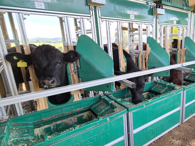 Epagri utiliza equipamentos para medir a emissão de gases de efeito estufa pelo gado – BLOG-Epagri epagri-utiliza-equipamentos-para-medir-a-emissao-de-gases-de-efeito-estufa-pelo-gado-–-blog-epagri