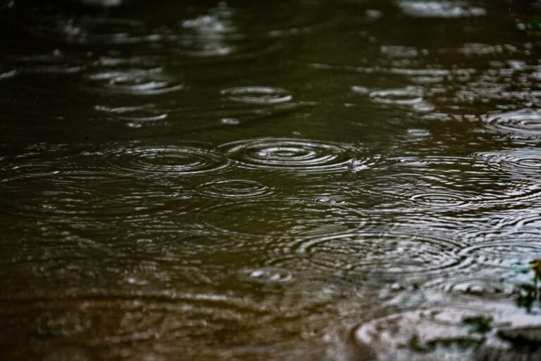 em-santa-catarina,-24-municipios-registram-mais-de-100-mm-de-chuva-em-apenas-um-dia