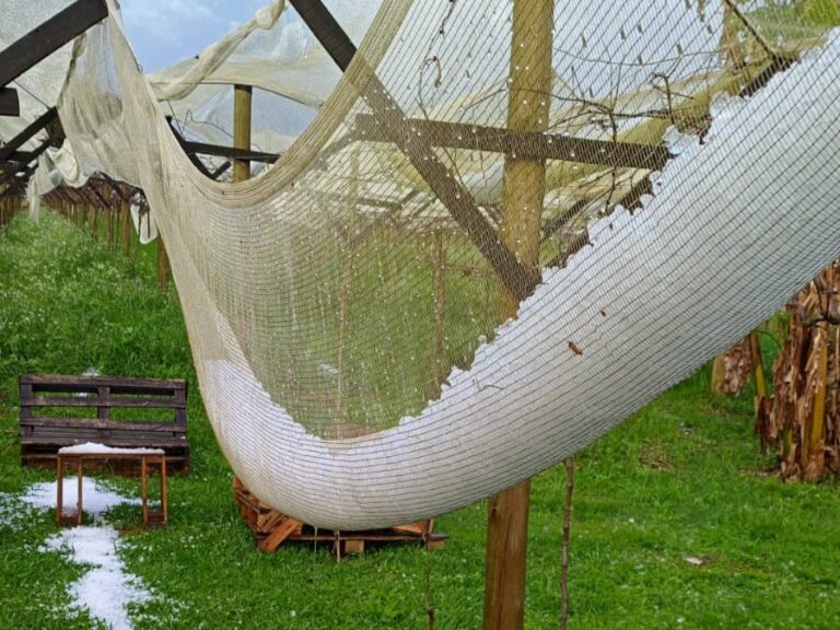 Chuva forte causa estragos em 14 municípios de Santa Catarina e risco de temporais segue alto até sábado chuva-forte-causa-estragos-em-14-municipios-de-santa-catarina-e-risco-de-temporais-segue-alto-ate-sabado
