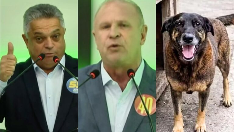 Merisio e João Rodrigues usam Cão Orelha para criticar gestão de Jorginho em debate pelo Governo de SC merisio-e-joao-rodrigues-usam-cao-orelha-para-criticar-gestao-de-jorginho-em-debate-pelo-governo-de-sc