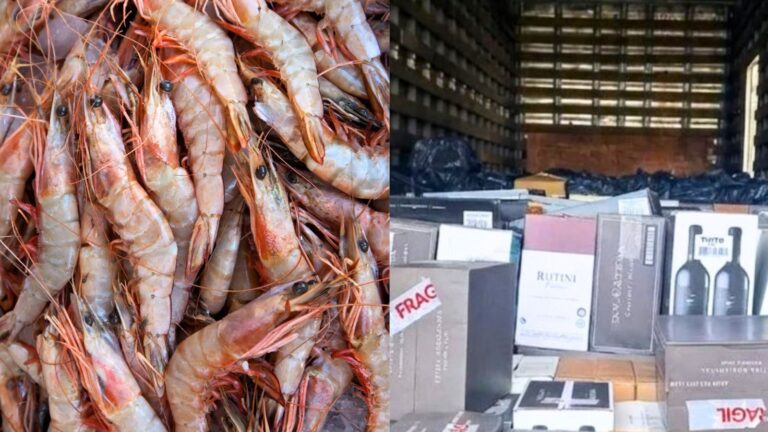 Não deu praia: caminhão carregado de camarão e garrafas de vinho cai na rede da polícia em SC nao-deu-praia:-caminhao-carregado-de-camarao-e-garrafas-de-vinho-cai-na-rede-da-policia-em-sc