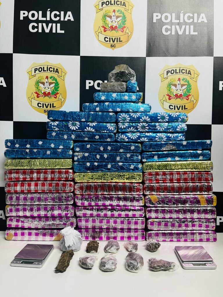 Polícia Civil apreende 30 kg de maconha em Chapecó policia-civil-apreende-30-kg-de-maconha-em-chapeco